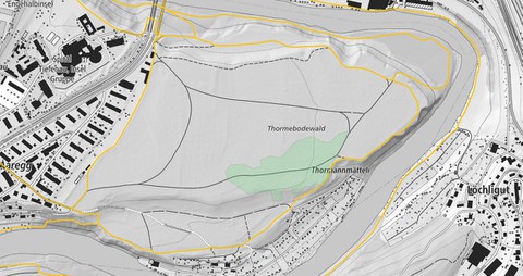 Arbeiten im Thormannbodenwald