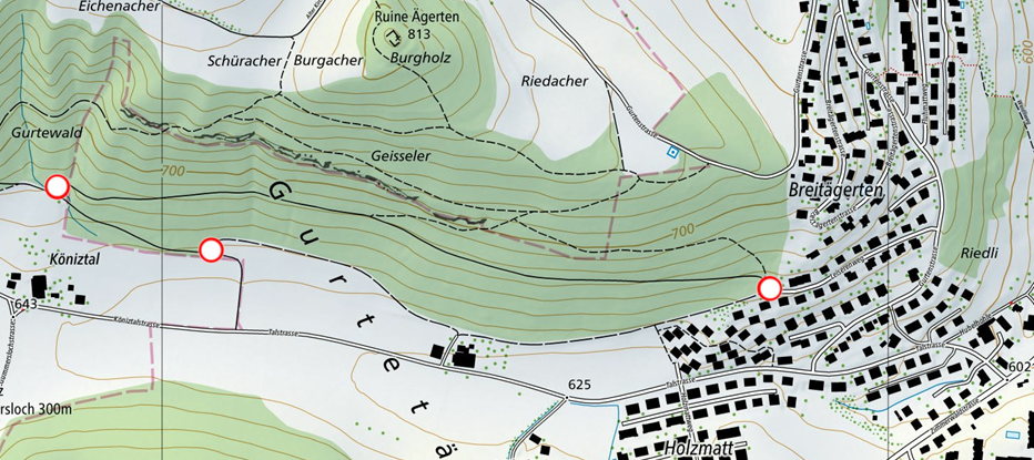 Kartenausschnitt Waldarbeiten Gurtentäli