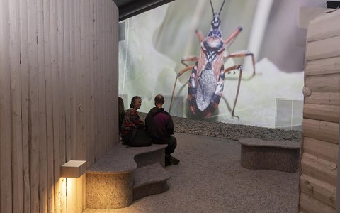 ALPS trifft Naturhistorisches Museum Bern: Zukunftsfähig Handeln